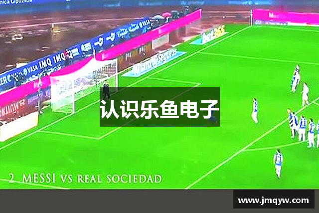 认识乐鱼电子